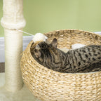 28-Inch Elevated Cat Bed with Sisal Scratching Post & Basket Tree