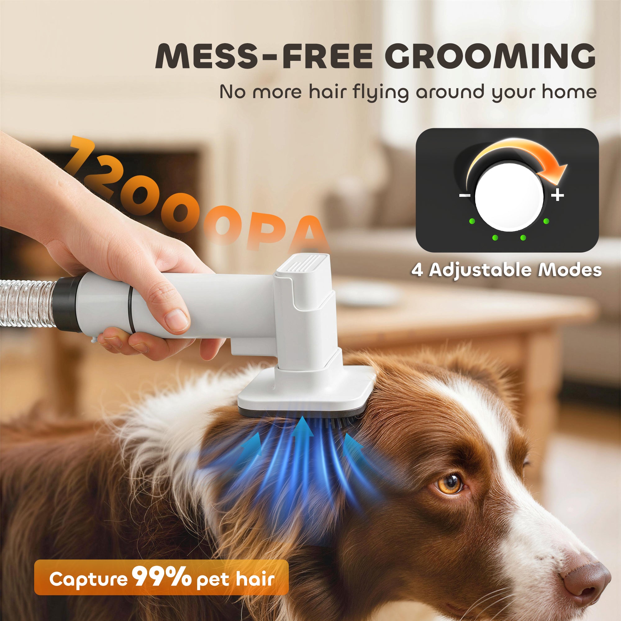 5-in-1 Dog Grooming Vacuum & Dryer Kit with Clippers – Low Noise, 1.8L Canister